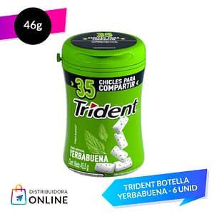Trident Botella Yerbabuena 46 Grs 6 unid